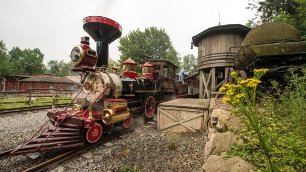Un train de couleur rouge et noire circule sur une voie ferrée près de Disneyland Paris.