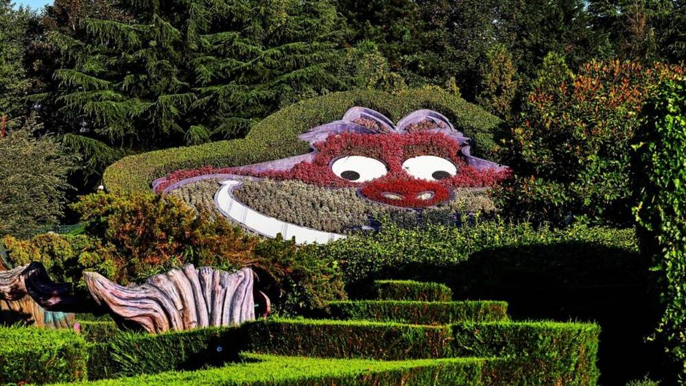 Jardin topiaire conçu pour ressembler à une créature de dessin animé souriante avec de grands yeux, inspirée du curieux Labyrinthe d'Alice à Disneyland Paris.