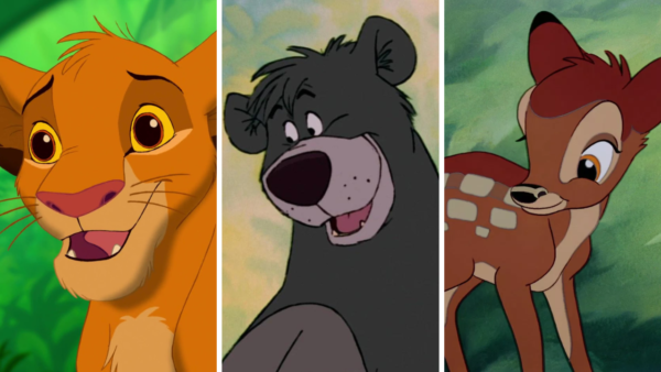 Copie de Sans titre 12