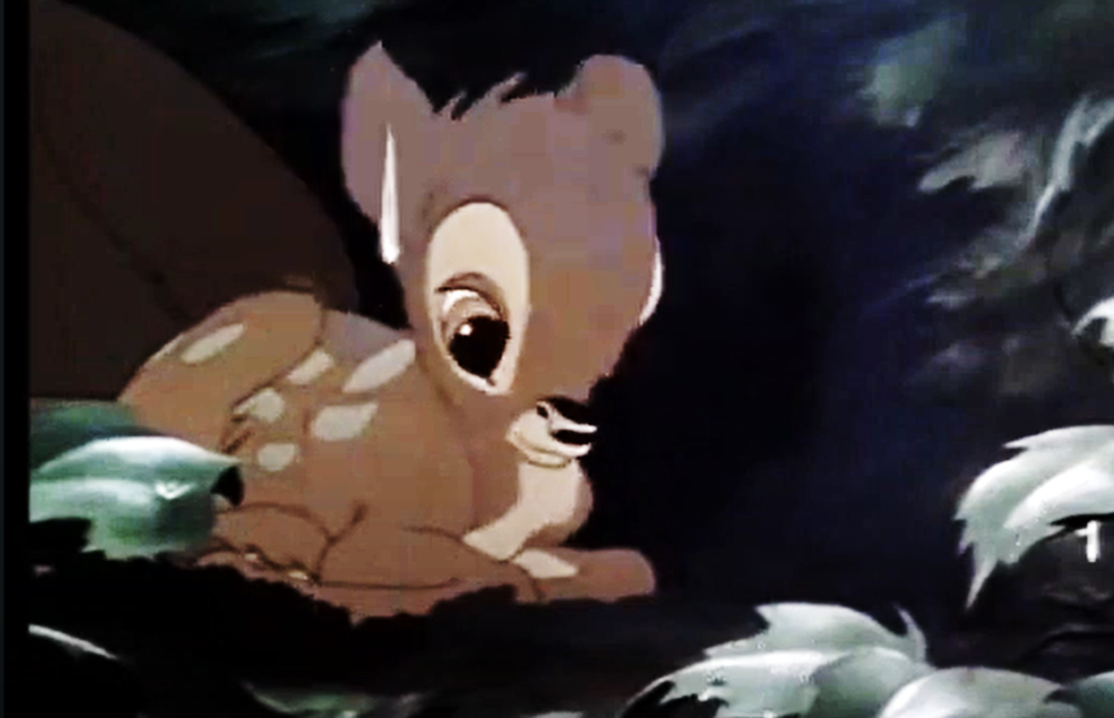 la chanson de la pluie bambi disney musique