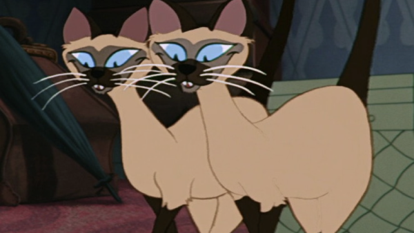 Deux chats siamois animés, rappelant « la chanson des siamois », se tiennent côte à côte sur un sol rouge à motifs avec une boîte verte en arrière-plan.