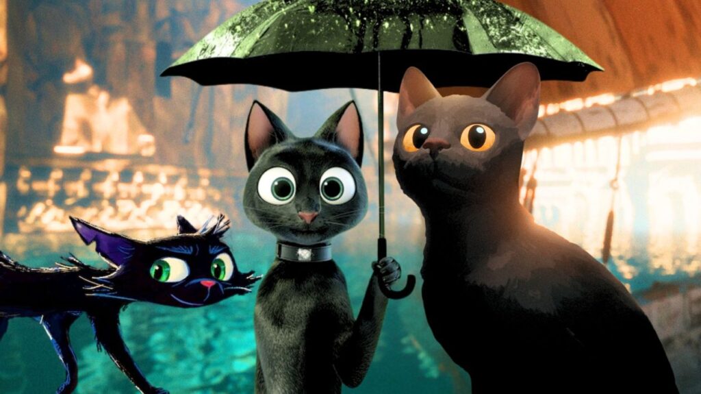 gatto 1260x708 1