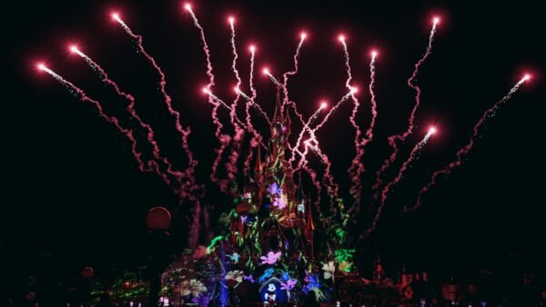 pexels john tekeridis 21837 28505405 scaled