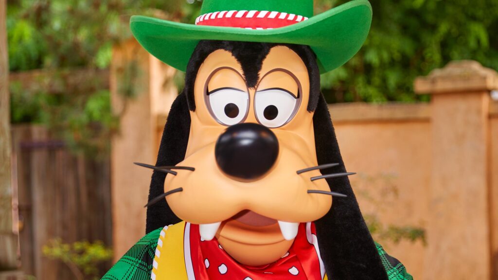 n035625 2050dec31 world selfie spot goofy costume hat cowboy 16 9 tcm808 224919p1fjpg