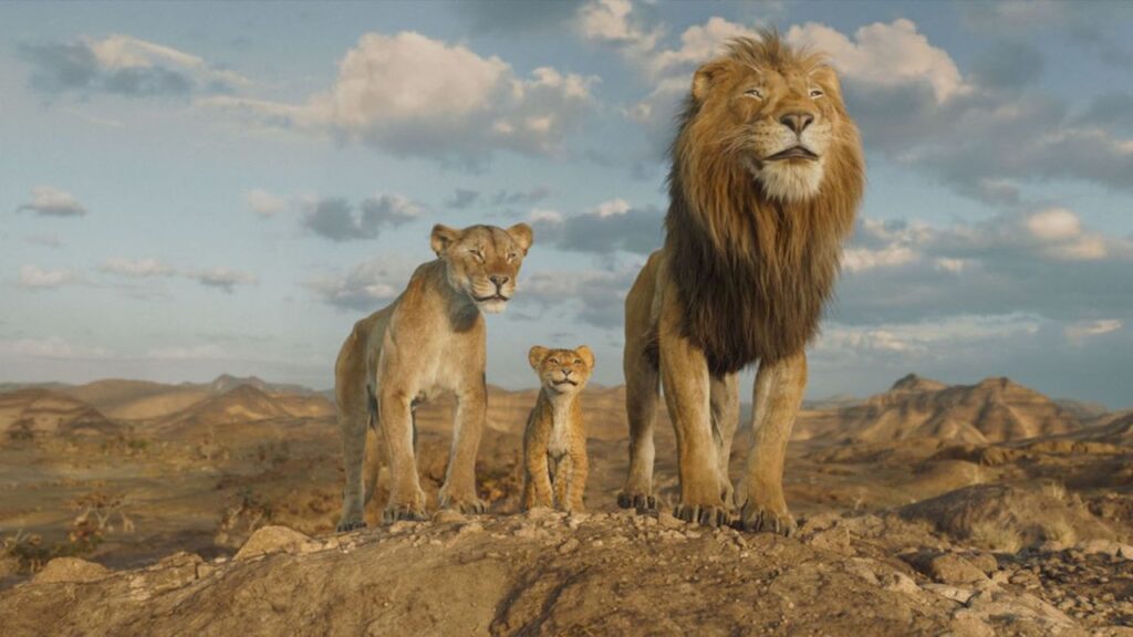 01301917194613 web tete