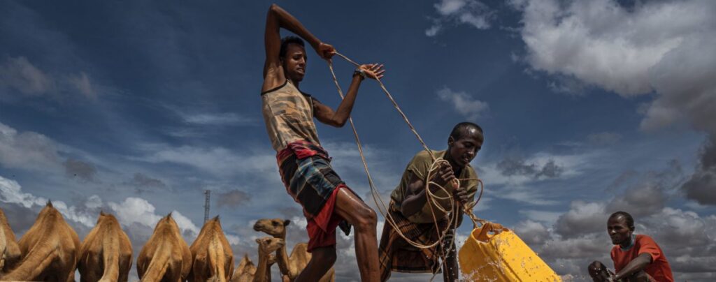 Deux hommes utilisent une corde pour remonter l'eau d'un puits dans un récipient jaune, avec des chameaux et une troisième personne à l'arrière-plan sous un ciel nuageux - une scène digne du National Geographic France.