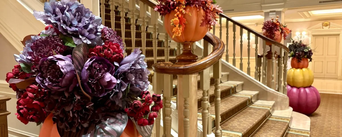 JDWXl9Kqhr6HBVbbbgFq1v7EMtst46Q4tFc4TSicRVzOeWBDziU3hOioLy3OoFrY