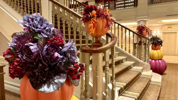 JDWXl9Kqhr6HBVbbbgFq1v7EMtst46Q4tFc4TSicRVzOeWBDziU3hOioLy3OoFrY