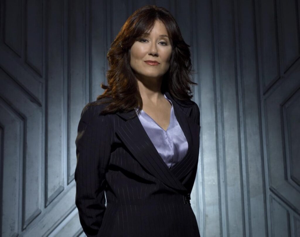 Marvel Vision Sur Disney+ : Mary Mcdonnell Rejoint Paul Bettany Et James Spader Dans Le Casting Étoilé De La Série Événement 2026