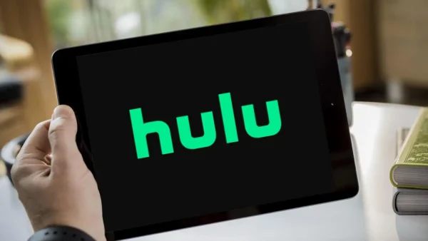 hulu streaming succes