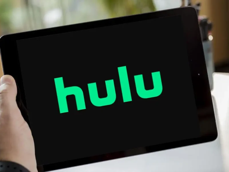 hulu streaming succes