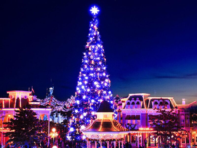 N015878 2027nov07 world Fir tree Christmas Town Square 16 9 tcm792 244546p1fjpg