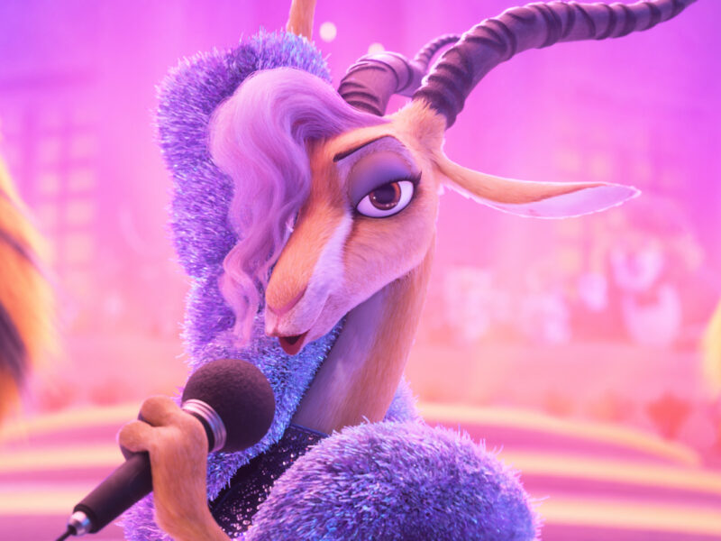 ZOOTOPIA2 ONLINE USE 127.0 031.00 0119