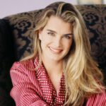 brooke shields suddenly susan 042525 489e940edc7c44ca833b73d185243391