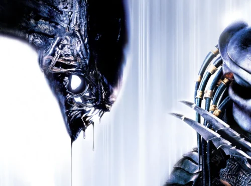 1368266 i db584230904e