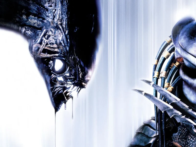 1368266 i db584230904e