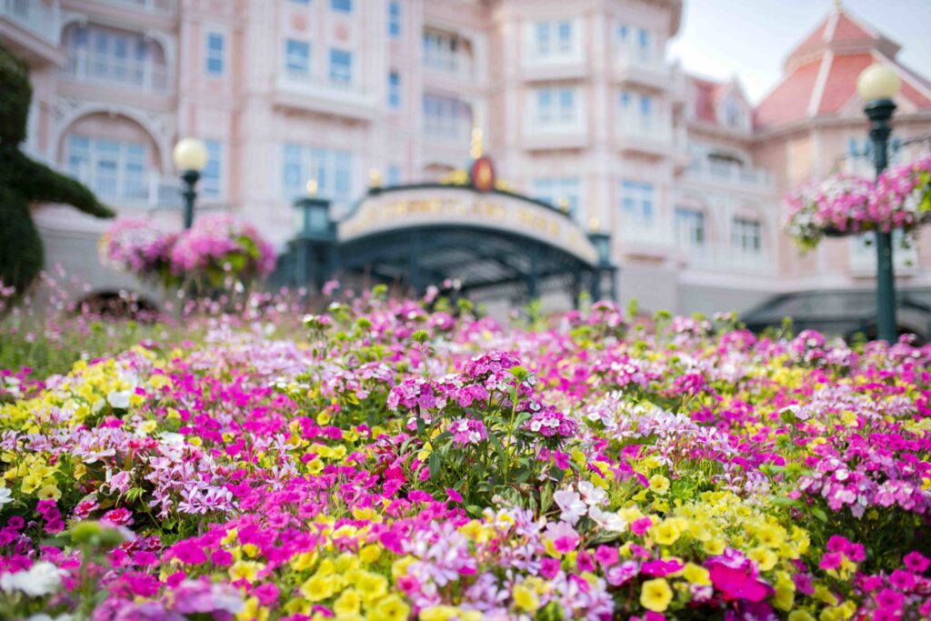 Un parterre de fleurs roses, jaunes et blanches, mettant en valeur la biodiversité, devant un grand bâtiment orné de murs teintés de rose et de fenêtres décoratives.