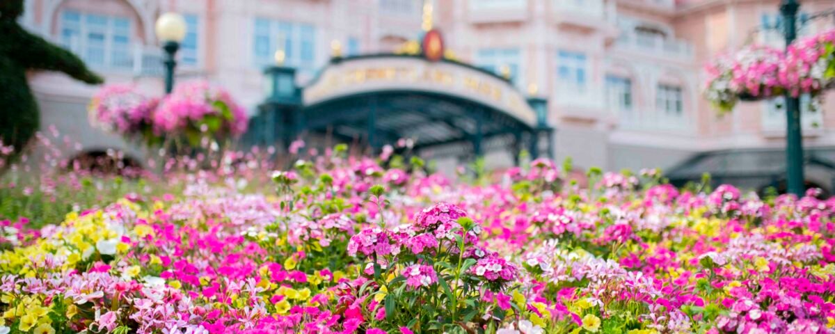 Un parterre de fleurs roses, jaunes et blanches, mettant en valeur la biodiversité, devant un grand bâtiment orné de murs teintés de rose et de fenêtres décoratives.