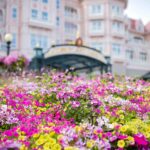 Un parterre de fleurs roses, jaunes et blanches, mettant en valeur la biodiversité, devant un grand bâtiment orné de murs teintés de rose et de fenêtres décoratives.