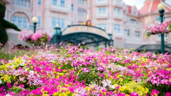 Un parterre de fleurs roses, jaunes et blanches, mettant en valeur la biodiversité, devant un grand bâtiment orné de murs teintés de rose et de fenêtres décoratives.