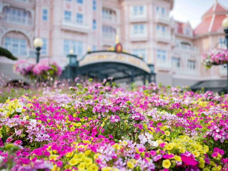 Un parterre de fleurs roses, jaunes et blanches, mettant en valeur la biodiversité, devant un grand bâtiment orné de murs teintés de rose et de fenêtres décoratives.