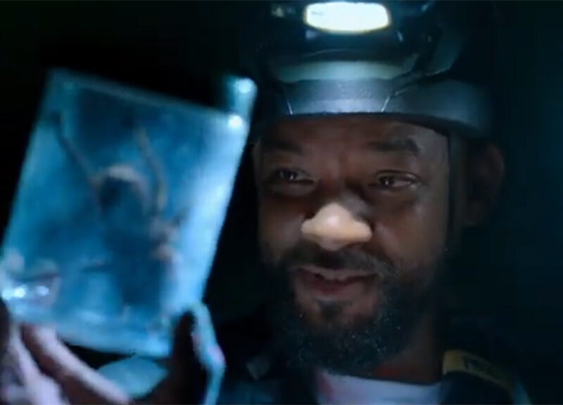 Une personne munie d'une lampe frontale brandit un récipient transparent contenant une grosse araignée, qu'elle examine de près dans un environnement sombre. Une aventure digne de Nat Geo, désormais diffusée en streaming sur Disney+.