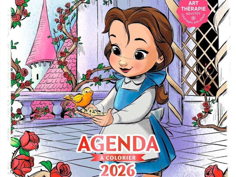 Agenda Disney 2026 - Petites Poupées