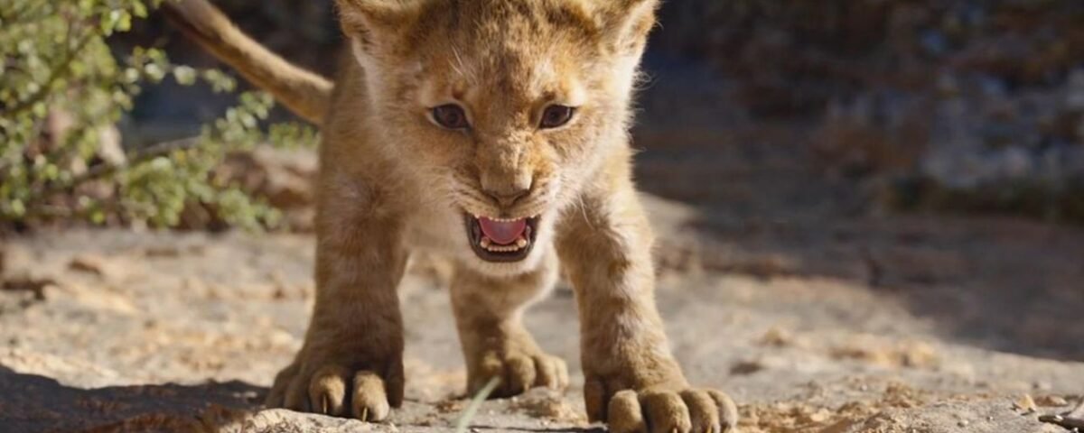 0601587891762 web tete