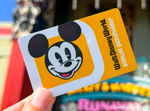 2023 wdw dhs annual passholder card new