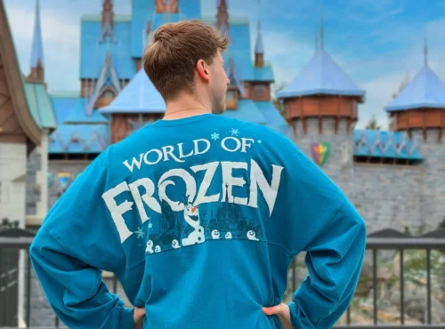 Une personne se tient dos à la caméra, vêtue d'une chemise bleue "World of Frozen", devant un château ressemblant à Arendelle à Disneyland Paris.