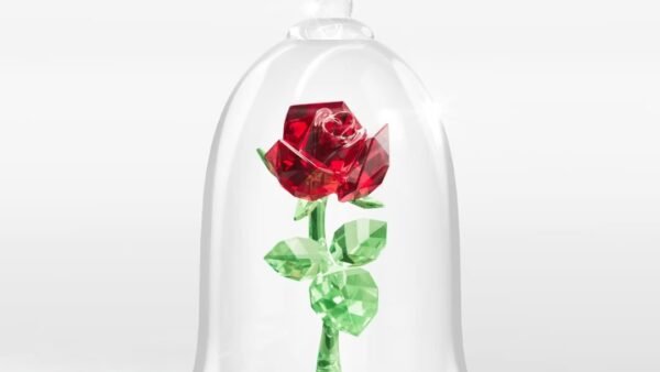 Une rose en cristal rouge et vert de Swarovski est présentée sous un dôme en verre transparent, rappelant La Belle et la Bête, sur un fond blanc uni.