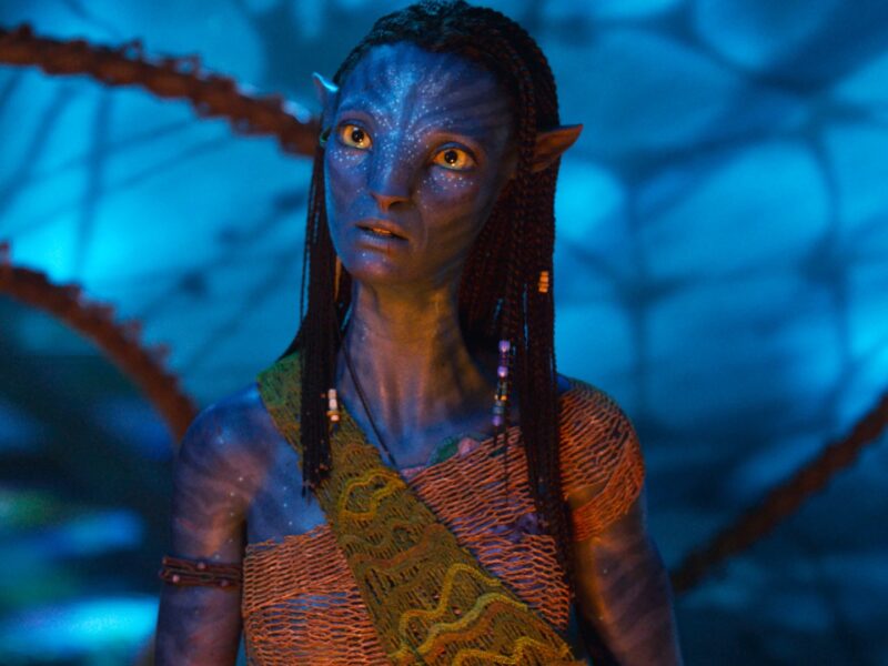 Un extraterrestre humanoïde à la peau bleue d'Avatar, aux cheveux tressés et aux accessoires perlés, se tient sur un fond bleu lumineux, vêtu d'une guêpe à motifs - un look emblématique du film oscarisé pour Meilleurs Effets Visuels.