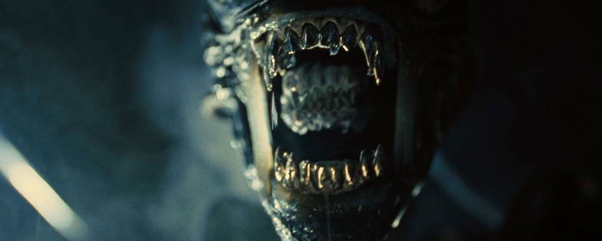 Gros plan d'une créature à la bouche métallique et dentée grande ouverte, montrant des dents pointues et des gouttes de salive, sur un fond sombre - évoquant l'atmosphère glaçante d'Alien Romulus 2 par la suite de Michael Sarnoski.