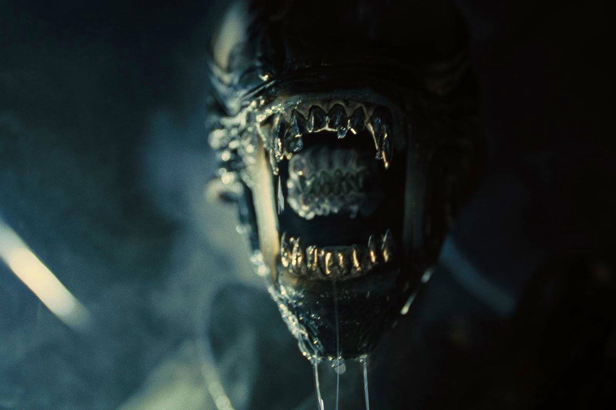 Gros plan d'une créature à la bouche métallique et dentée grande ouverte, montrant des dents pointues et des gouttes de salive, sur un fond sombre - évoquant l'atmosphère glaçante d'Alien Romulus 2 par la suite de Michael Sarnoski.