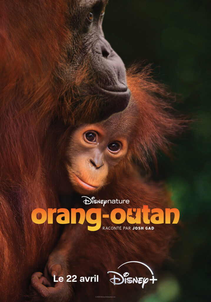ORANGUTAN TEASER POSTER FRANCE.jpg