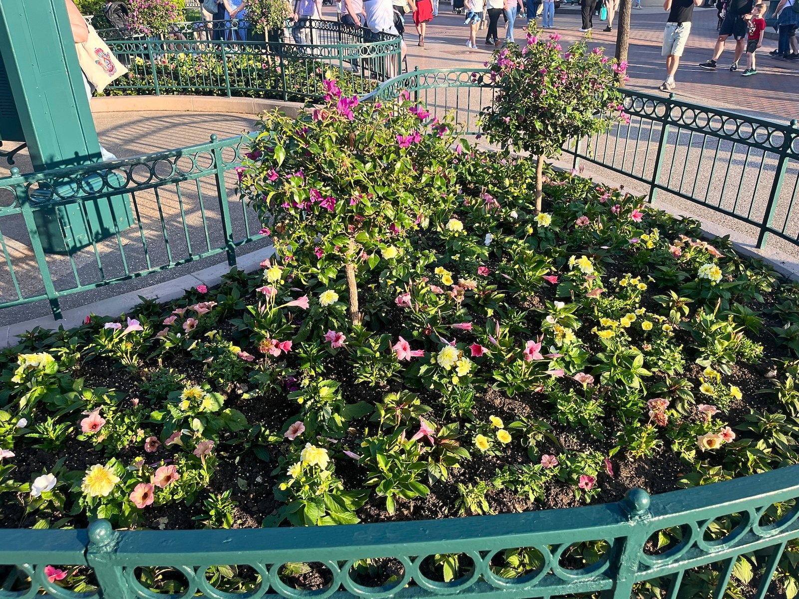 Disneyland Paris : En Immersion Une Nuit Avec L’équipe Horticulture