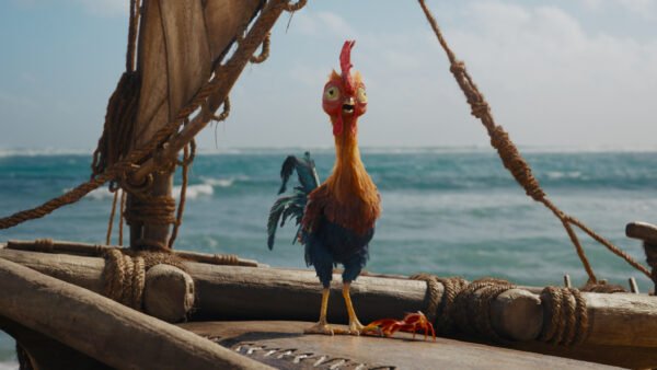 Un coq coloré aux grands yeux se tient debout sur un radeau en bois en pleine mer, sous un ciel partiellement nuageux, rappelant l'esprit d'aventure de Vaiana, tel qu'on le voit dans le retour au cinéma de l'héroïne Disney.