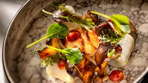 Un plat composé de champignons saisis, de feuilles vertes, de points de sauce rouge et de purée blanche sur une assiette en céramique à motifs dans ce restaurant difficile à réserver de Disney.