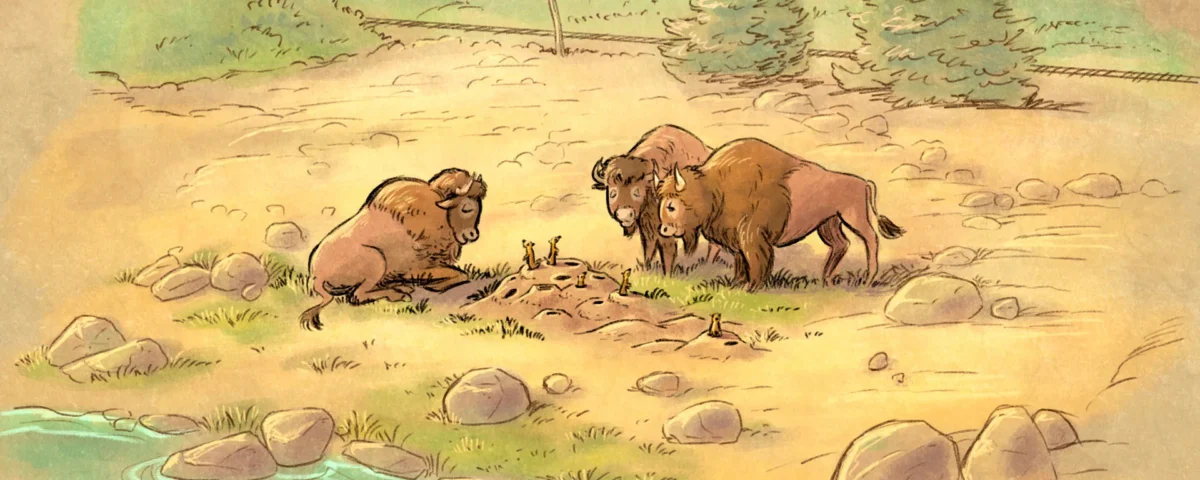 Trois bisons observent un groupe de chiens de prairie près de leurs terriers, le long de la rive herbeuse et rocailleuse des Rivers of the Far West, avec des arbres en arrière-plan — l'une des « nouvelles scènes » de Disneyland Paris.