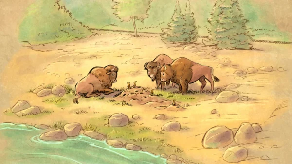 Trois bisons observent un groupe de chiens de prairie près de leurs terriers, le long de la rive herbeuse et rocailleuse des Rivers of the Far West, avec des arbres en arrière-plan — l'une des « nouvelles scènes » de Disneyland Paris.