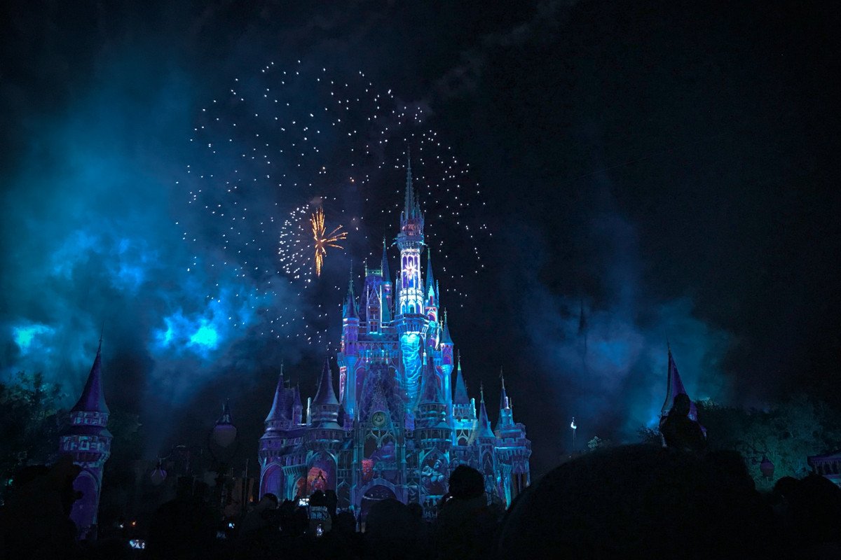 Quel Est L'objectif De Disney ?