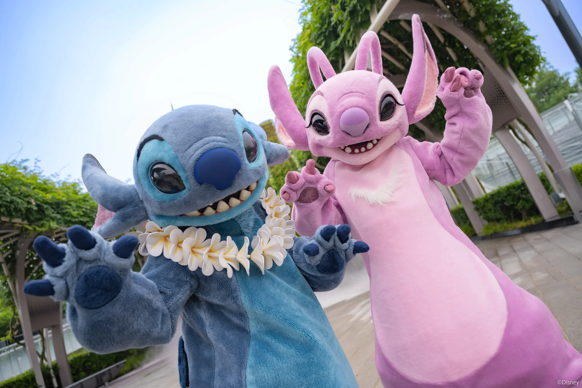 Stitch Day 2026 : Angel Rejoint Stitch Pour Une Édition Inédite À Disneyland Paris