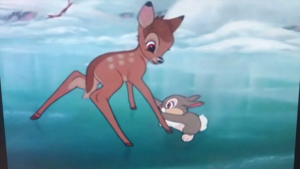 Un jeune chevreuil glisse sur la glace tandis qu’un petit lapin gris tente de le soutenir ; leur tendre complicité est un chant éternel et discret d’amour au cœur de la forêt sereine. On aperçoit de la neige et des arbres à l’arrière-plan.