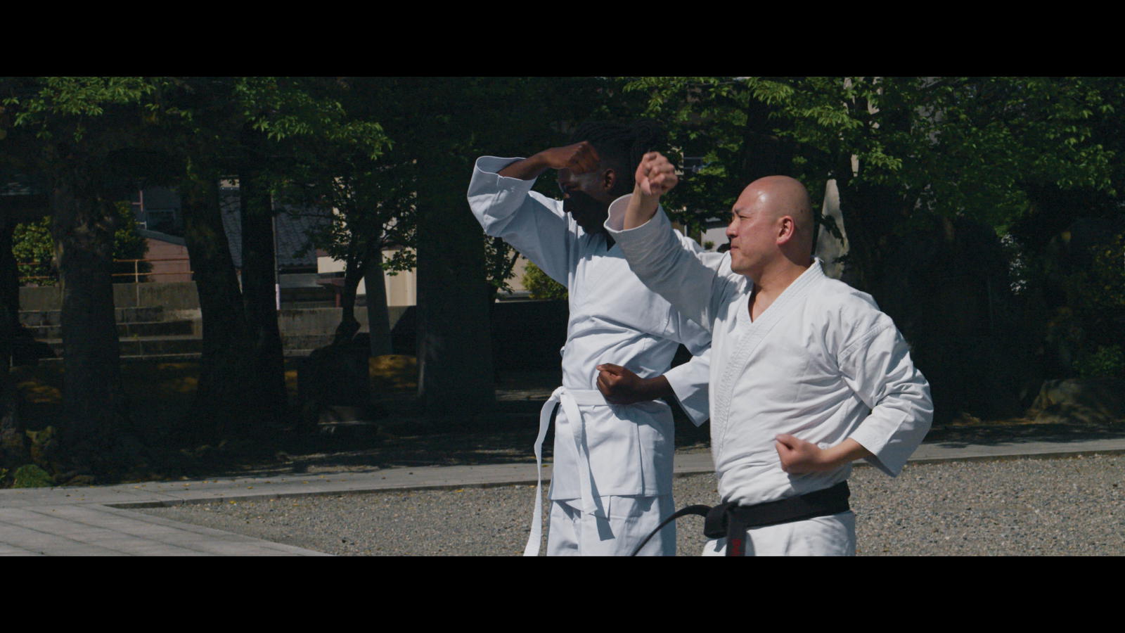 Deux personnes vêtues de kimonos de karaté blancs s'entraînent aux arts martiaux en plein air, exécutant des mouvements synchronisés, les bras levés et pliés, au milieu des arbres et d'une aire de gravier — une scène inspirante qui évoque la grâce disciplinée souvent représentée dans les films Disney+ ou mise à l'honneur dans les explorations de Mory Sacko sur la gastronomie japonaise.