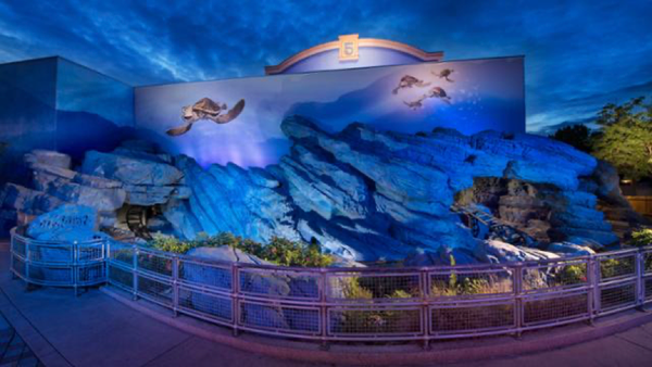 Extérieur rocheux et baigné d'une lumière bleue d'une exposition d'aquarium ornée de deux fresques représentant des tortues sur le mur — un hommage à « Crush’s Coaster » —, entourée d'une balustrade et de plantes sous un ciel crépusculaire, évoquant l'effervescence de son inauguration le 9 juin 2007.